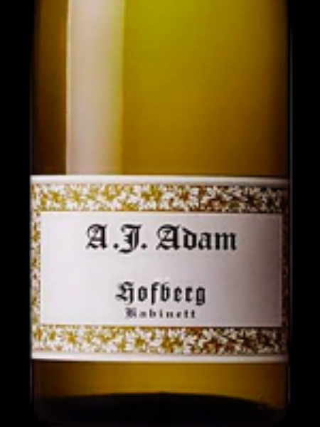 Picture of 2019 Adam, AJ - Dhron Hofberg Kabinett