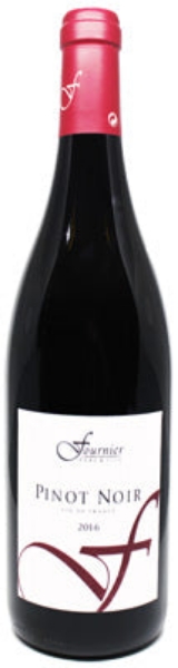 Picture of 2019 Domaine Fournier - Val de Loire Pinot Noir