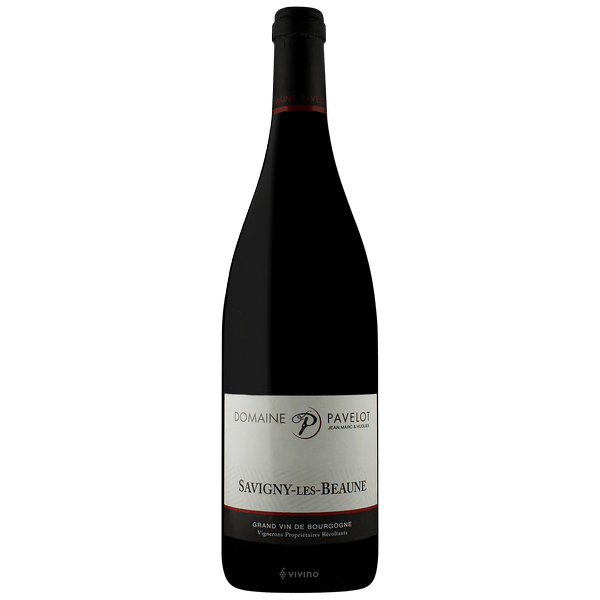 2019 Domaine Pavelot - Bourgogne Rouge