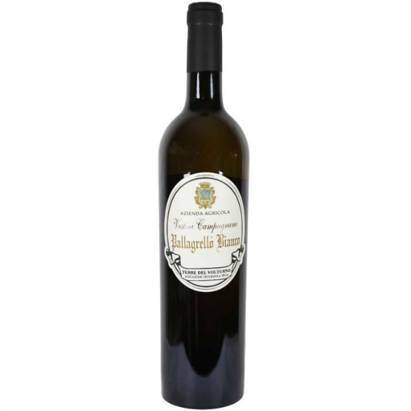 2019 Vestini Campagnano - Terre del Volturno IGT Pallagrello Bianco