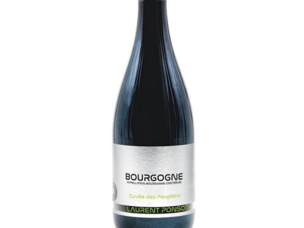 Picture of 2019 Laurent Ponsot - Bourgogne Rouge Cuvee des Peupliers