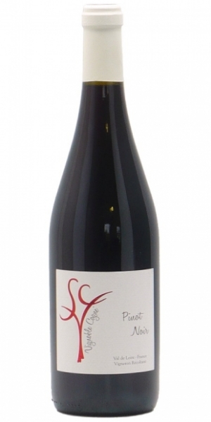 Picture of 2020 Domaine Cogne - VdP du Val de Loire Pinot Noir