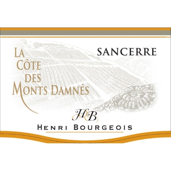 Picture of 2021 Henri Bourgeois - Sancerre La Cote Des Monts Damnes