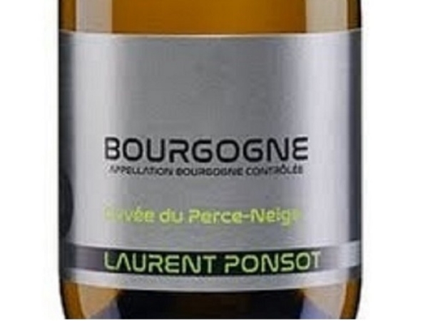 Picture of 2019 Laurent Ponsot - Bourgogne Blanc Cuvee du Perce Neige