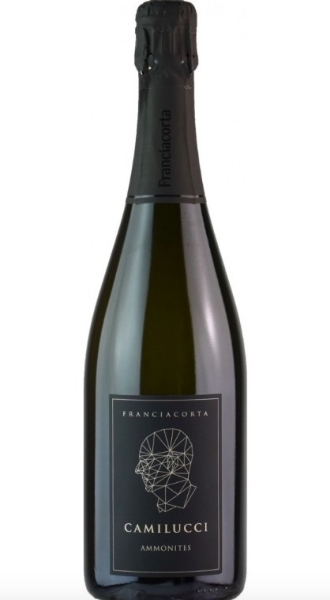 Picture of NV Camilucci - Franciacorta DOC