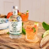 Lyre's Agave Blanco Spirit