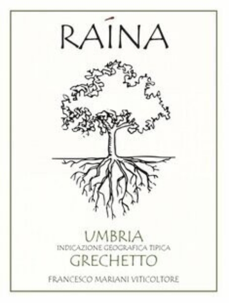 Picture of 2021 Raina - Grechetto