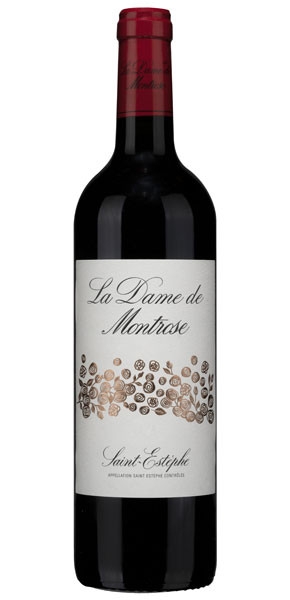 Picture of 2019 Chateau Dame de Montrose - St. Estephe