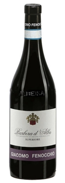 Picture of 2021 Fenocchio - Barbera d'Alba Superiore Bussia