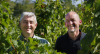 Picture of 2016 Chateau les Conseillans - Cotes de Bordeaux