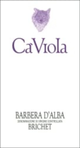 Picture of 2019 Ca' Viola - Barbera d'Alba Brichet