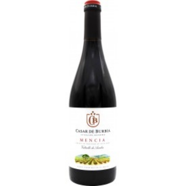 Picture of 2018 Casar de Burbia - Mencia