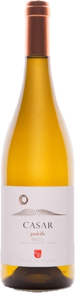 Picture of 2022 Casar de Burbia - Godello