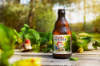 Picture of D'Achouffe - Houblon Chouffe IPA 4pk