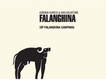Picture of 2022 San Salvatore - Campania IGT Falanghina