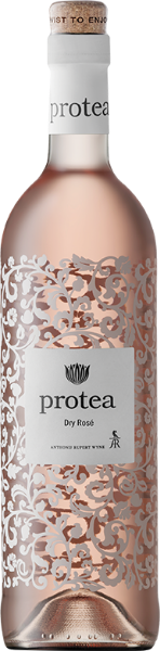Picture of 2023 Protea -   Rose