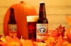 Picture of Alewerks Brewing - Pumpkin Ale 6pk