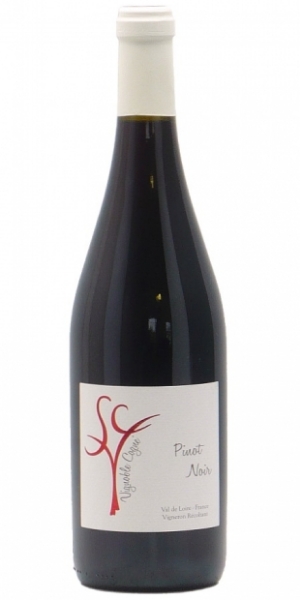 Picture of 2021 Domaine Cogne - VdP du Val de Loire Pinot Noir