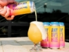 Beer Tree Brew - Any Day's Haze NEIPA 4pk