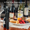 Coravin Wine Preservation System - Model Six Mica