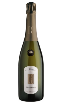 Adami Prosecco Col Credos bottle