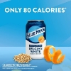 Blue Moon - Belgian White Ale Non-Alcoholic 6pk