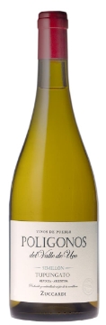 Picture of 2022 Zuccardi - Semillon Poligonos Del Valle Tupungato (750ml)