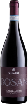 Picture of 2019 Cesari - Valpolicella Ripasso DOC Bosan (750ml)