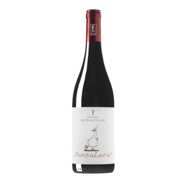 Picture of 2022 Cantina San Biagio Vecchio - Sangiovese Superiore Romagna DOC (750ml)
