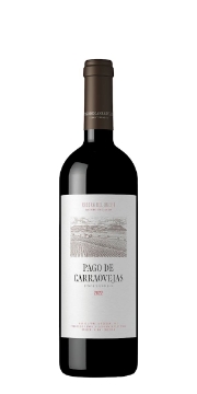 Picture of 2022 Pago de Carraovejas - Tempranillo Ribera del Duero Tinto (750ml)