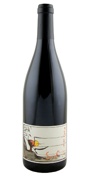 Picture of 2024 Pierre Gauthier - Bourgueil Jour de Soif (750ml)